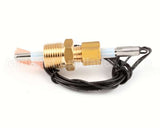 02.01.204.00 Hatco Probe,Temp/Lvl,10K Thermistor