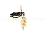 02.01.393.00 Hatco Probe,Temp/Level,10K,Hcwbi