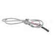 02.16.184.00 Hatco Temperature Probe,50K,Ntc