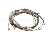 02.18.172.00 Hatco Compact Booster Harness