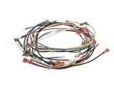 02.18.172.00 Hatco Compact Booster Harness