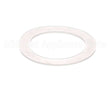 02.GC0019.001 Grindmaster Cecilware Rulon Gasket_Spm