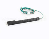 020002091 Multiplex Probe Assembly Ice Bank Control