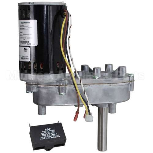 020003650 Compatible Multiplex Motor/Reducer