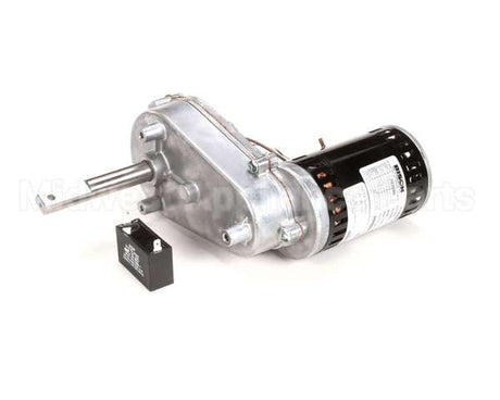 020003651 Multiplex Motor 115V Dbl D Shaft