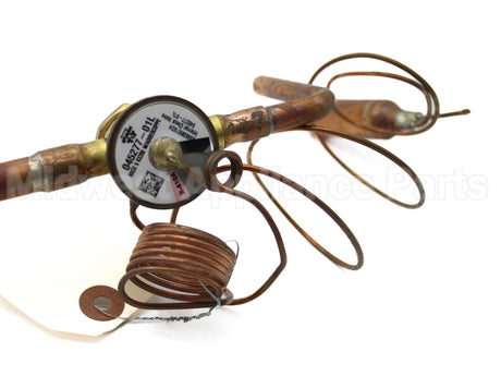 0251L00000 Daikin-Mcquay Expansion Valve