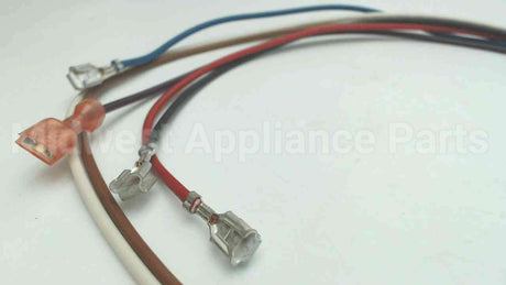 0259A00001P Amana-Goodman Wire Assembly
