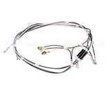 02759.0000 Bunn Wiring Harness, 120V 2Top(S)