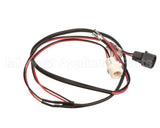 2073986 Beverage Air Wiring Harness