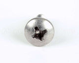 03-1531-01 Scotsman Screw
