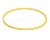 03.05.061B.00 Hatco Watertreat Rep O-Ring Scaltrol