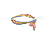 100108 Globe Knife Motor Harness