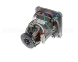 035396 Waring Leili Motor Without Sensor