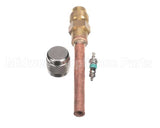 04.ZZ0003.001 Grindmaster Cecilware Complete Valve With Core And Cap Spm