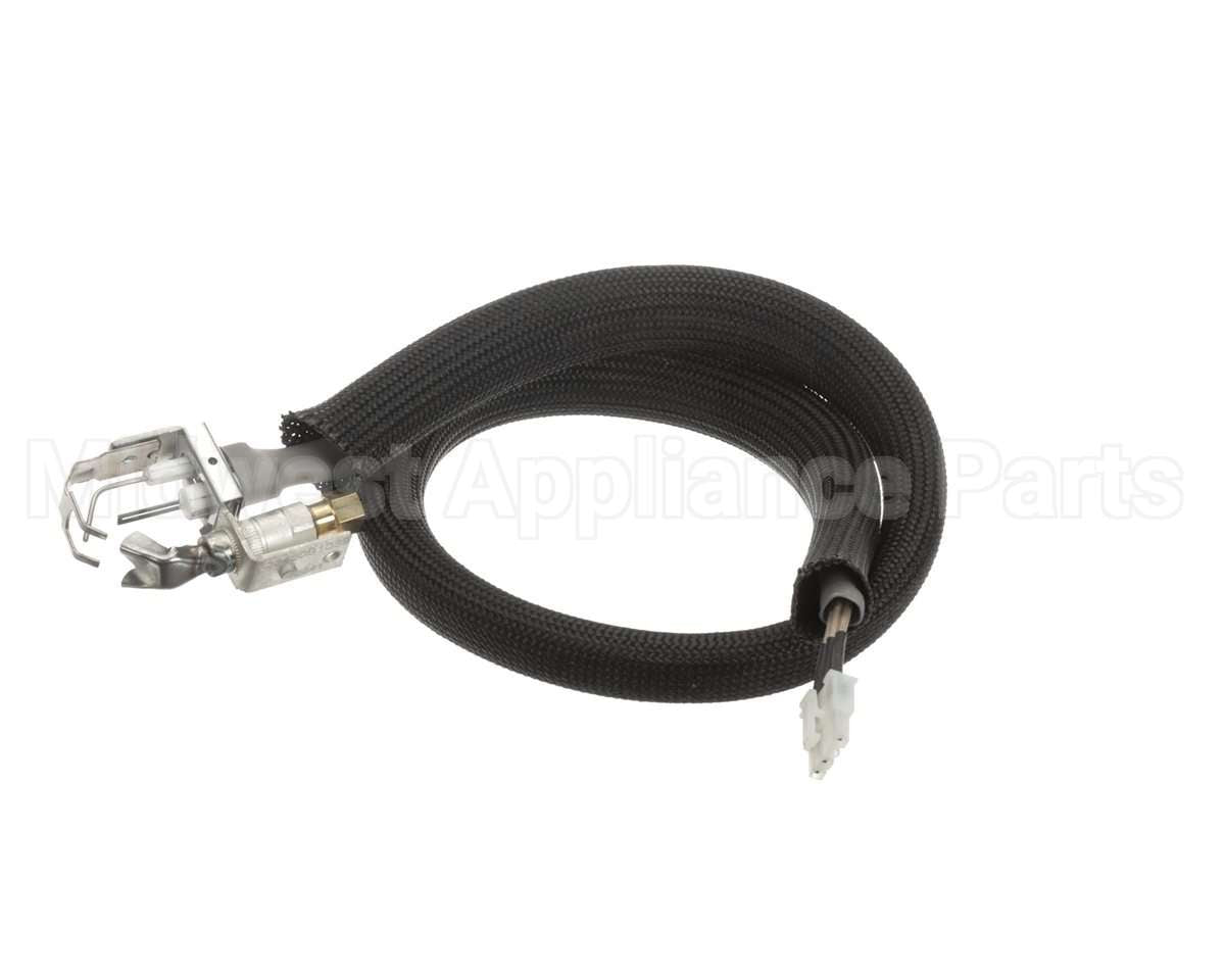 0455946 Legion Pilot Burner Ignitor Sensor