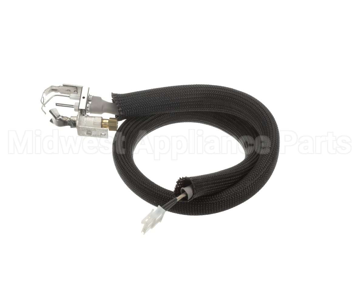 0455946 Legion Pilot Burner Ignitor Sensor