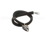 0455946 Legion Pilot Burner Ignitor Sensor