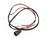 2073986 Beverage Air Wiring Harness