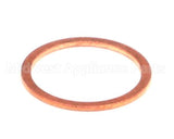 0502804 Champion - Moyer Diebel Gasket Strainer Cap S45 Valve