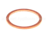 0502804 Champion - Moyer Diebel Gasket Strainer Cap S45 Valve