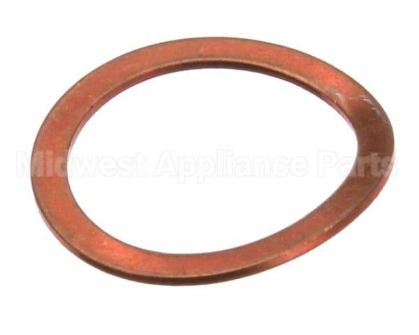 0502807 Champion - Moyer Diebel Gasket Outlet Copper S45 Valv