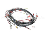 0512538-1 Champion - Moyer Diebel Harness, Wiring Dfm7.5
