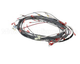0512538-1 Champion - Moyer Diebel Harness, Wiring Dfm7.5