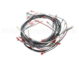 0512538-1 Champion - Moyer Diebel Harness, Wiring Dfm7.5