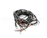 0513576 Champion - Moyer Diebel Harness, Wiring Hr M4 U/C