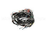 0513576 Champion - Moyer Diebel Harness, Wiring Hr M4 U/C