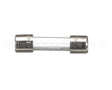 0513795 Champion - Moyer Diebel Fuse, 0.063A Sloblow 250Vac