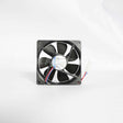 055002-000 Vikingfan, Large, Ar 30/36