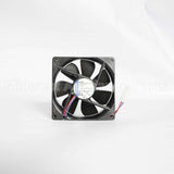 055002-000 Vikingfan, Large, Ar 30/36