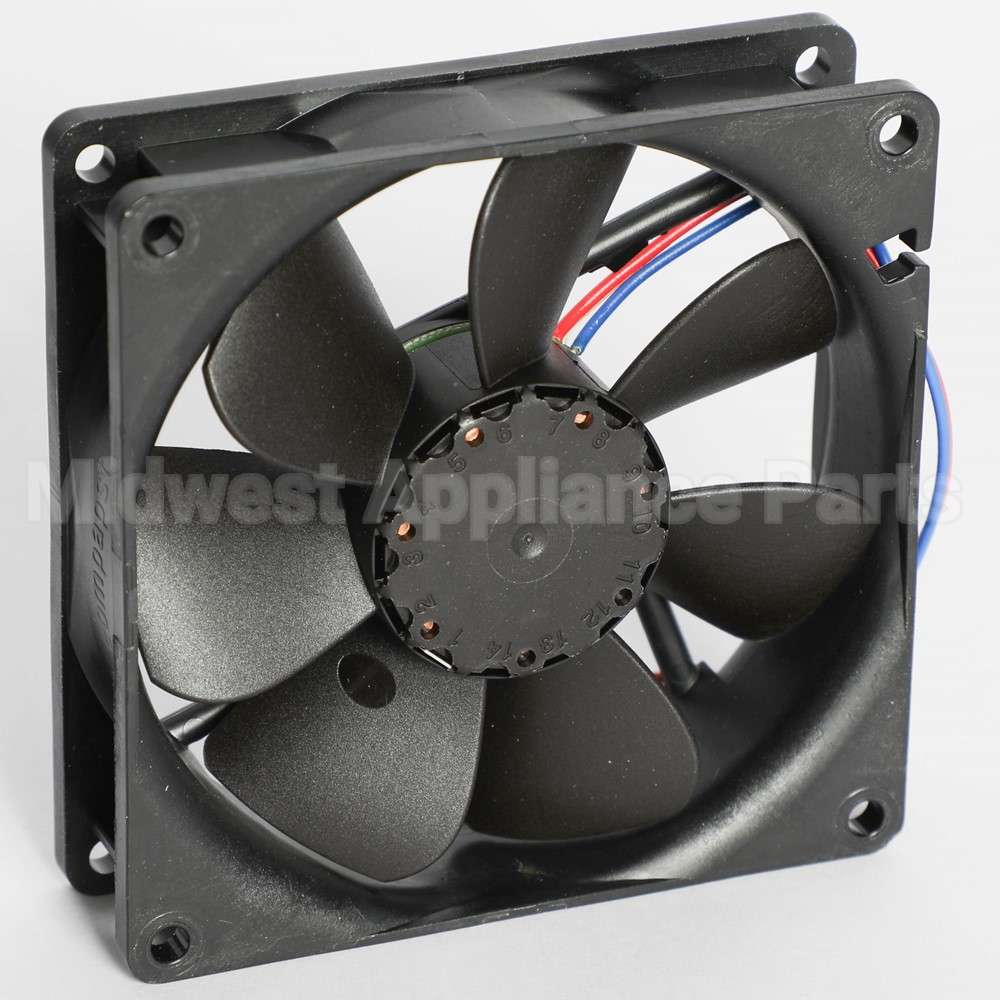 055002-000 Vikingfan, Large, Ar 30/36