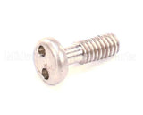 06002139 Jbt Screw,Captive Security
