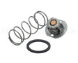 062234B Raypak Unitherm Governor
