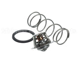 062234B Raypak Unitherm Governor