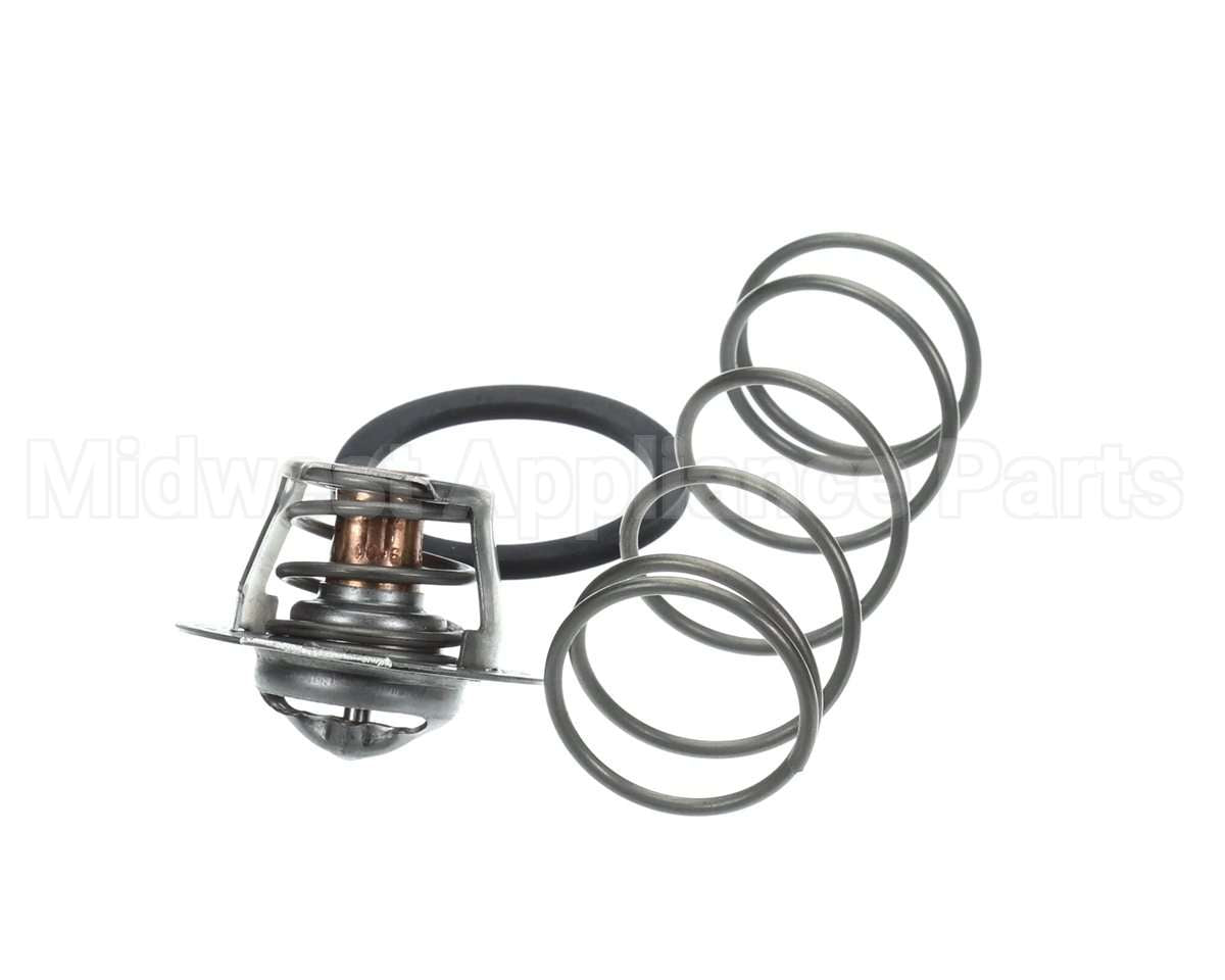 062234B Raypak Unitherm Governor