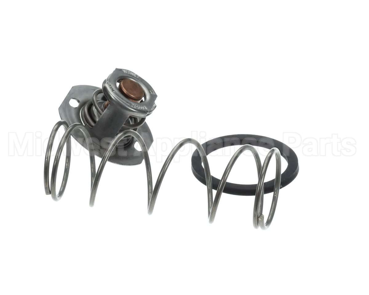 062234B Raypak Unitherm Governor