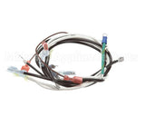 0700531 Antunes Wire Set (Nt)