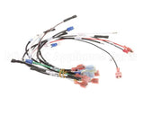 0700554 Antunes Wire Set