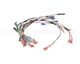 0700554 Antunes Wire Set