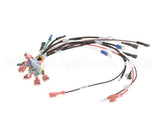 0700554 Antunes Wire Set