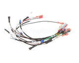 0700554 Antunes Wire Set