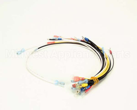 0700580 Antunes Wire Set