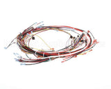 0700700 Antunes Wire Set Ut-200