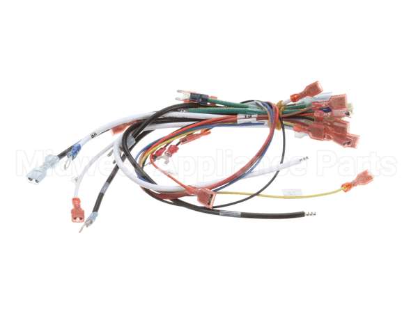 0700807 Antunes Wire Harness