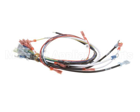0700807 Antunes Wire Harness