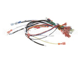 0700807 Antunes Wire Harness