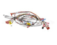 0700914 Antunes Wire Set, Hct Horz Contact Toa